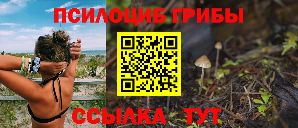 Видное  Псилоцибиновые грибы Cubensis  Вход с VPN  Галлюциногенные грибы ЛСД 