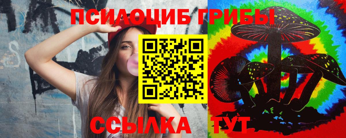 Галлюциногенные грибы Psilocybine cubensis Видное
